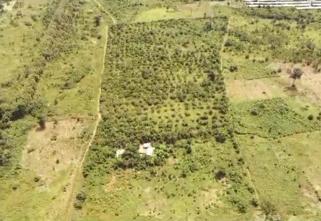 Terrain de 12ha à vendre à Yamoussoukro